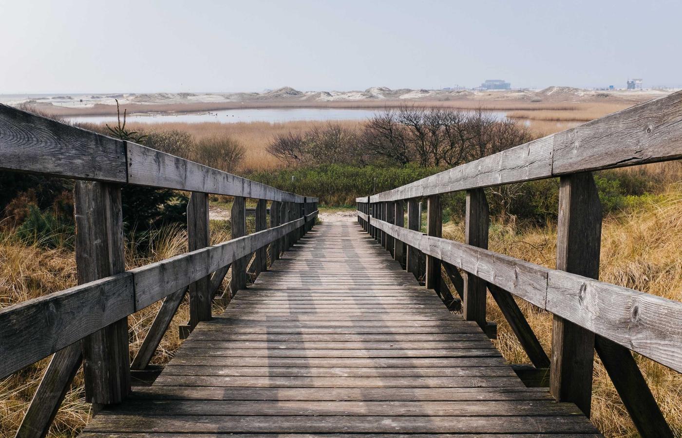 Sistem de irigație prin picurare într-o seră