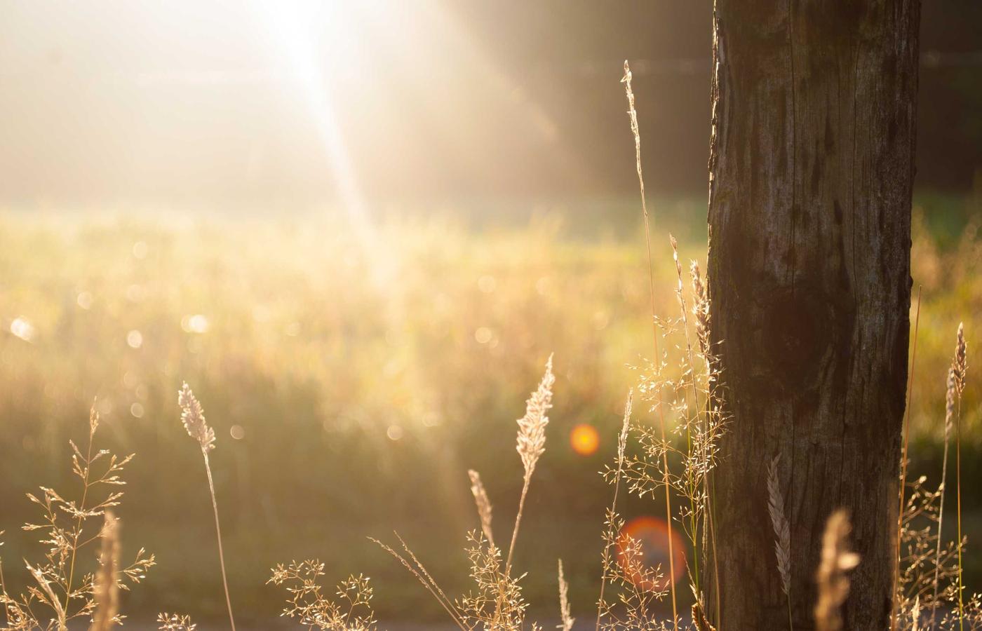 Hartă digitală a unui câmp pe ecranul unei tablete
