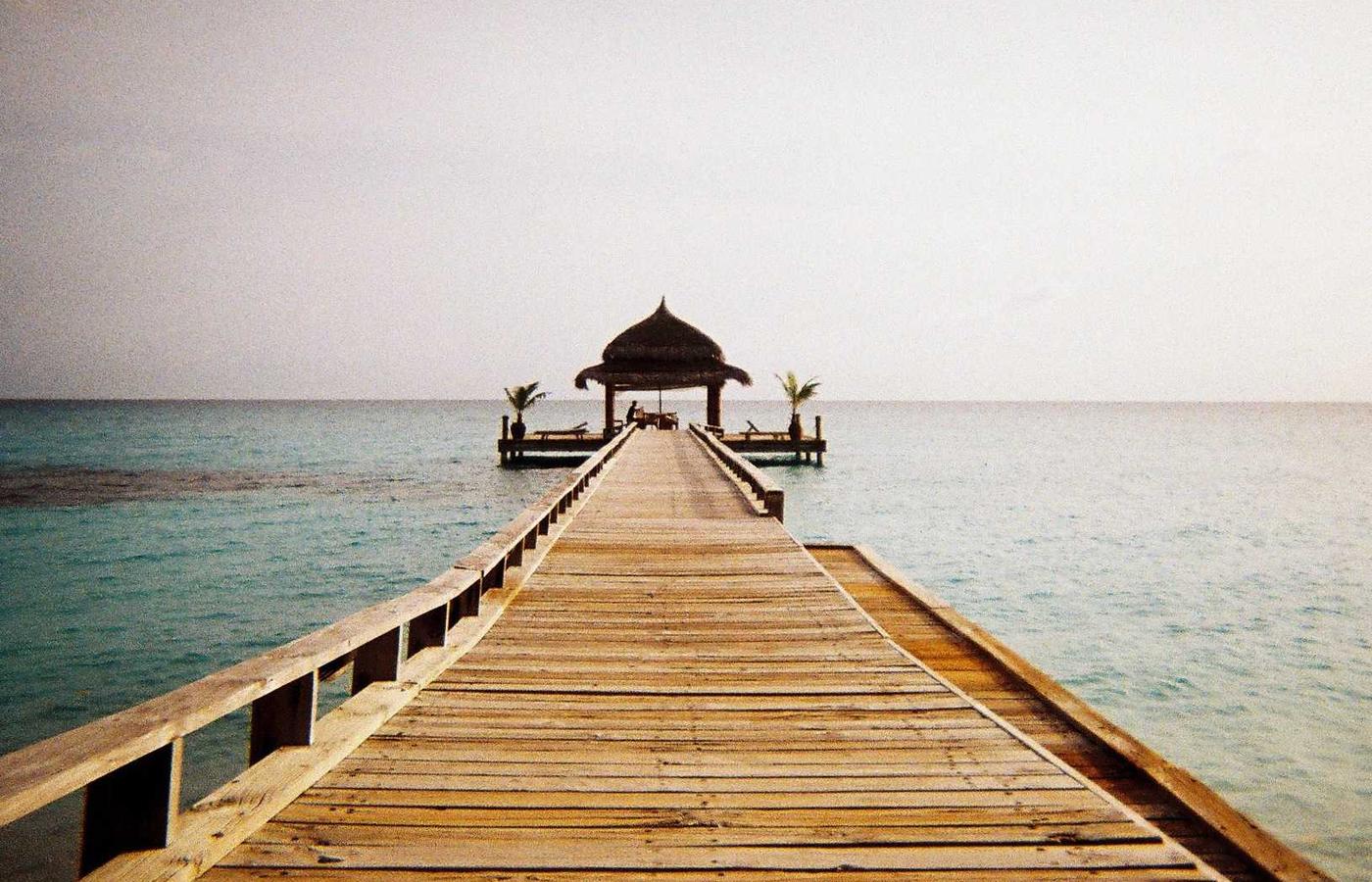 Fermier folosind un dispozitiv mobil pentru a controla sistemul de irigații