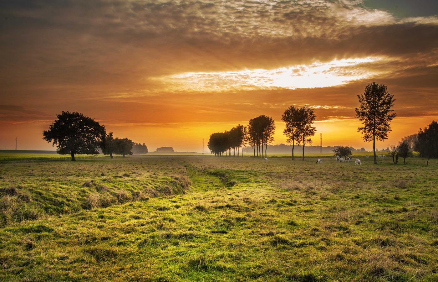 Portretul Mariei Popescu